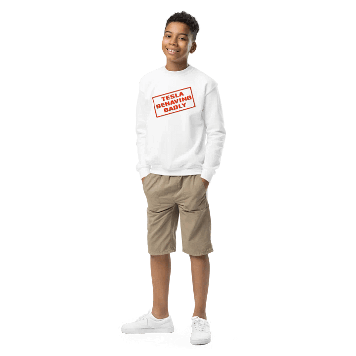 KIDS TESLA BEHAVING BADLY product image (1)