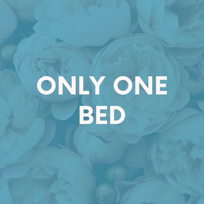 Only One Bed