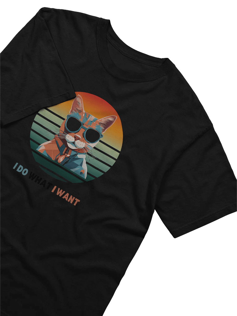 I Do What I Want T-Shirt :Ultra-Soft Comfort: Garment-Dyed Cotton Tee product image (3)
