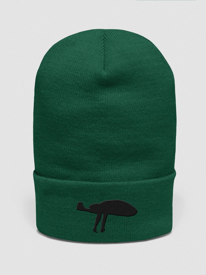 The Anomaly Beanie product image (4)