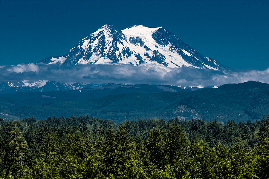 Print - Mount Rainier, Washington product image (13)