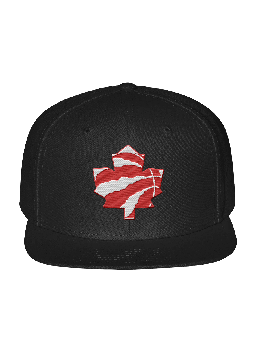 Toronto Dinos Snap product image (1)