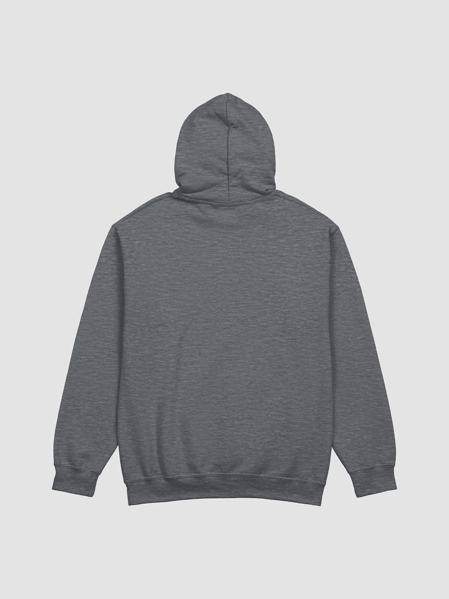 #ProCommonsense - Pullover Hoodie (TheeMlle Classics Merch) product image (4)