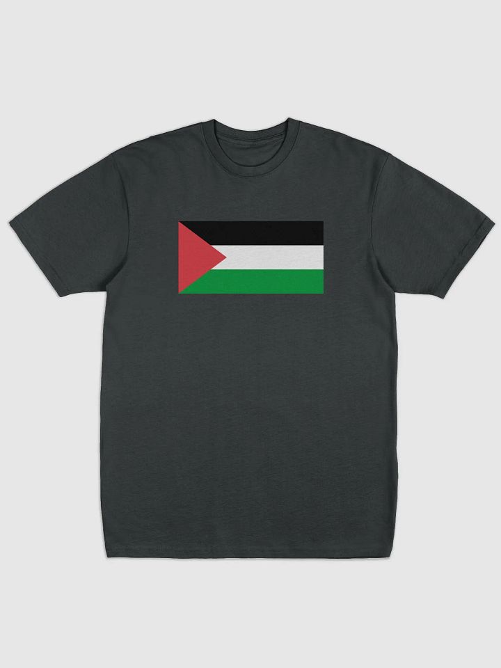 Palestine T-Shirt - Big Flag product image (1)