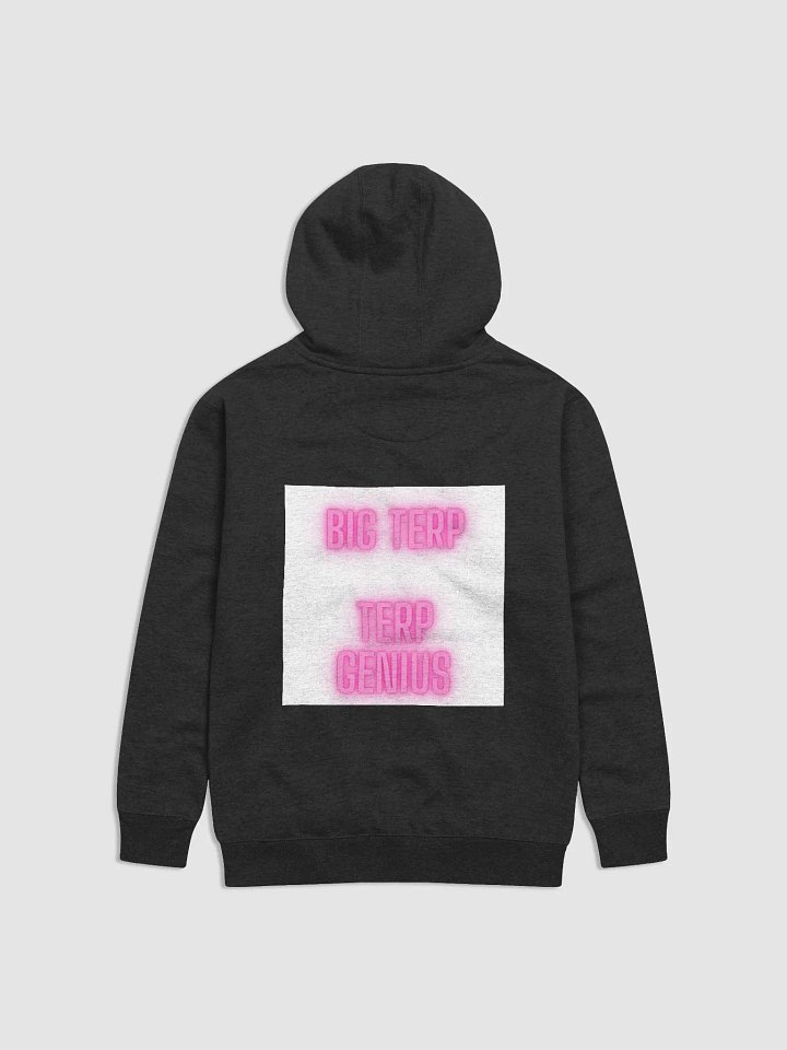 terptwinzhoodie product image (2)