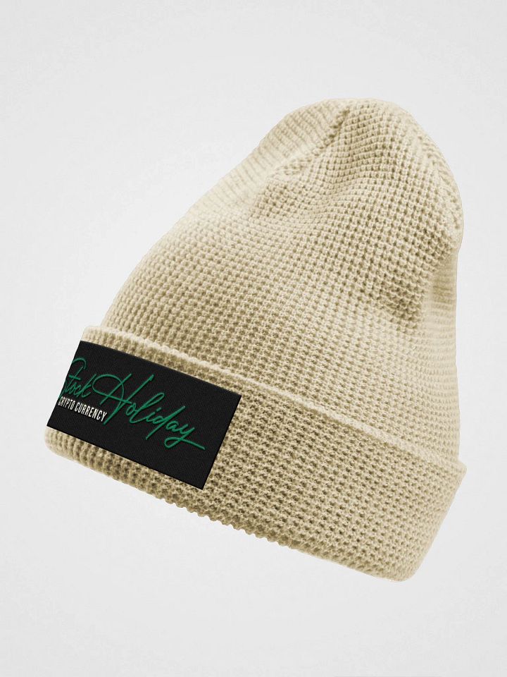 Stock Holiday Beanie Cap product image (8)