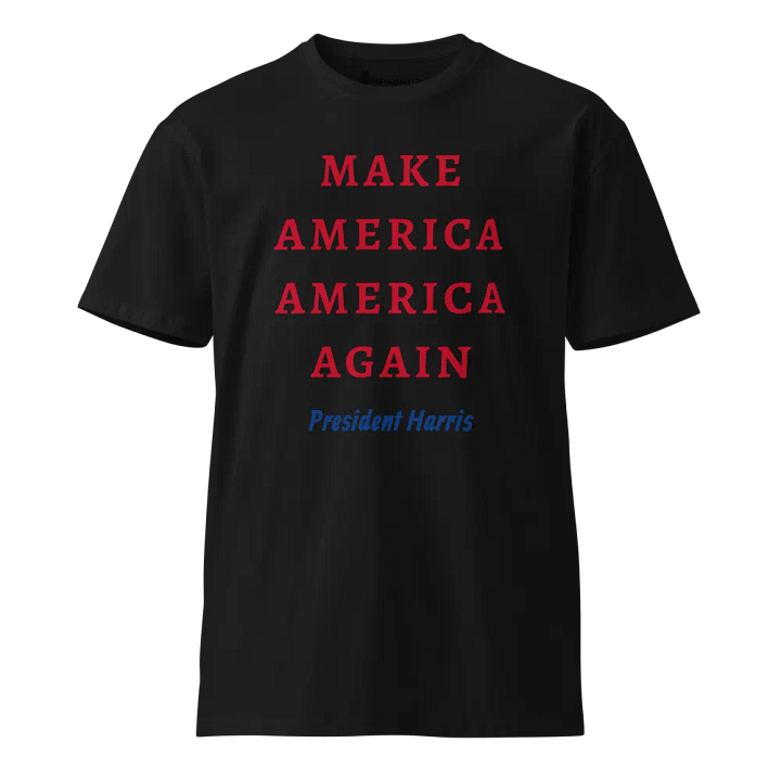 Make America America Again President Harris - Premium Unisex T-Shirt product image (1)