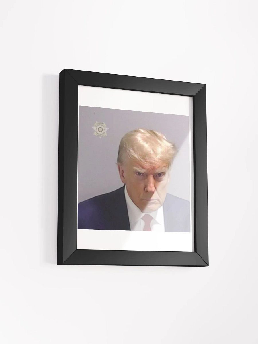 Framed FAFO Mugshot product image (15)