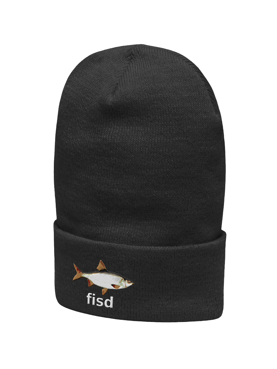 fisd beanie product image (2)