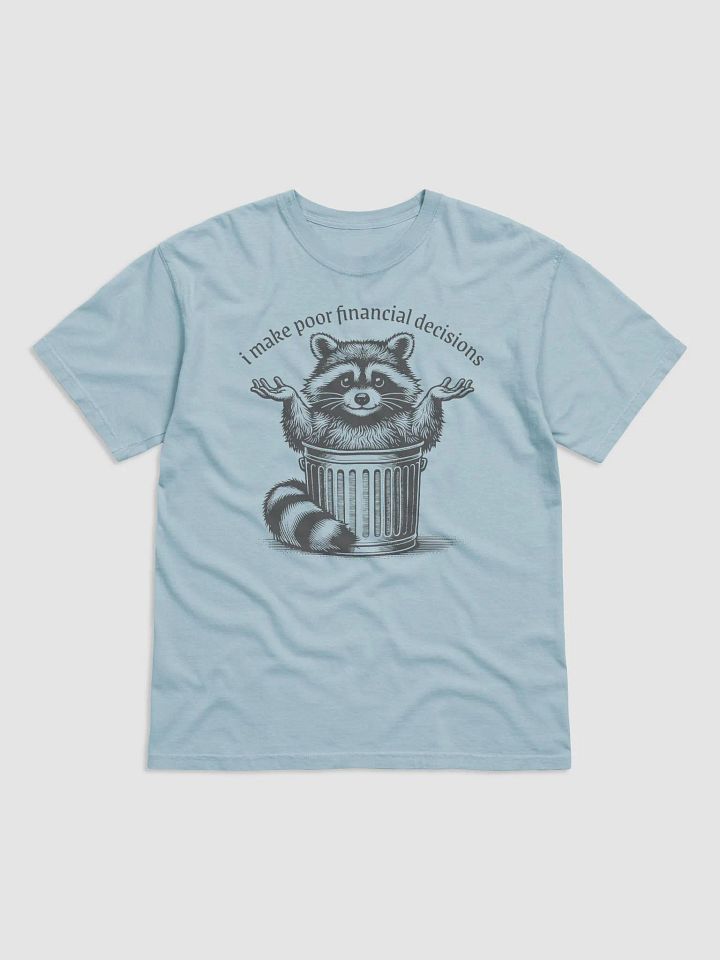 Poor Financial Decisions product image (2)