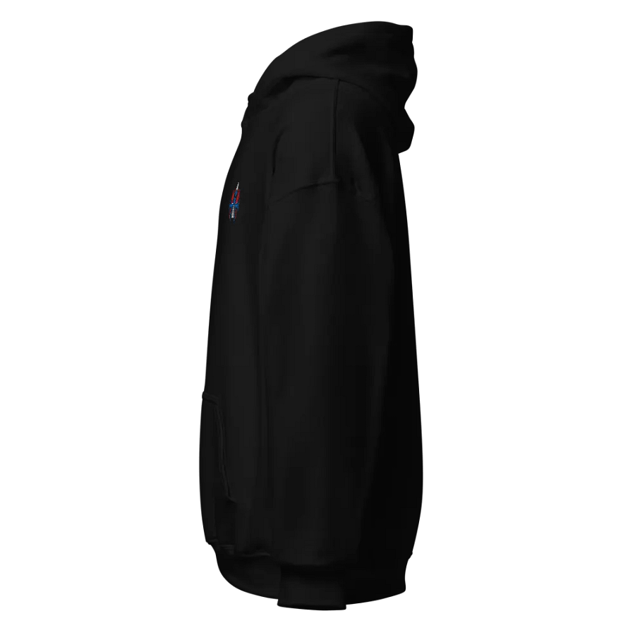 Embroidered Theoatrix Hoodie product image (2)