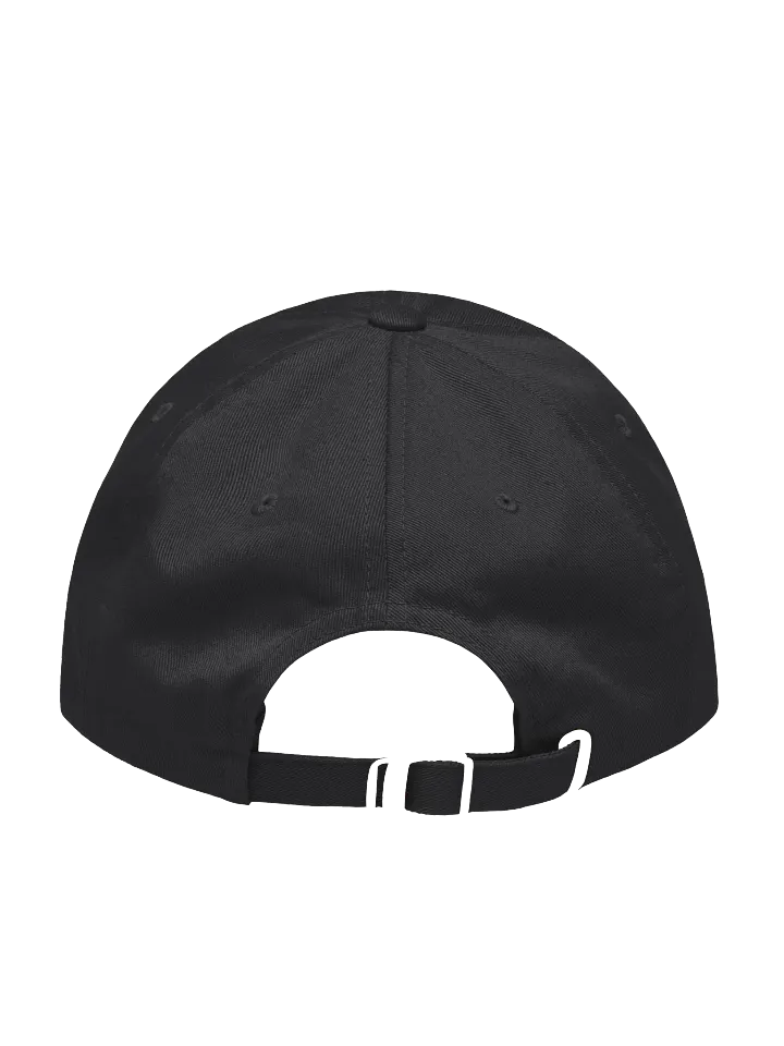 Embroidered Temporary Hat product image (13)