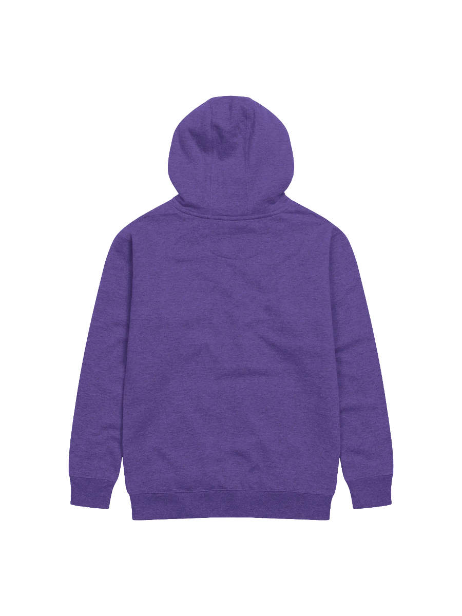 10k Hoodie product image (4)