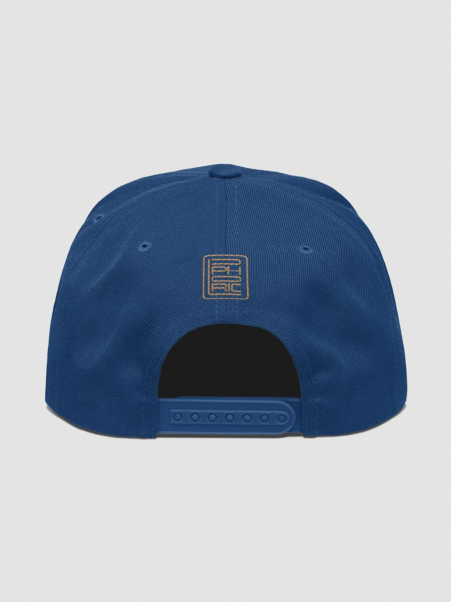 CEO Gold Snapback product image (19)
