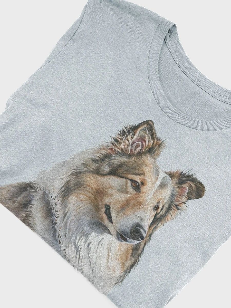Collie product image (3)