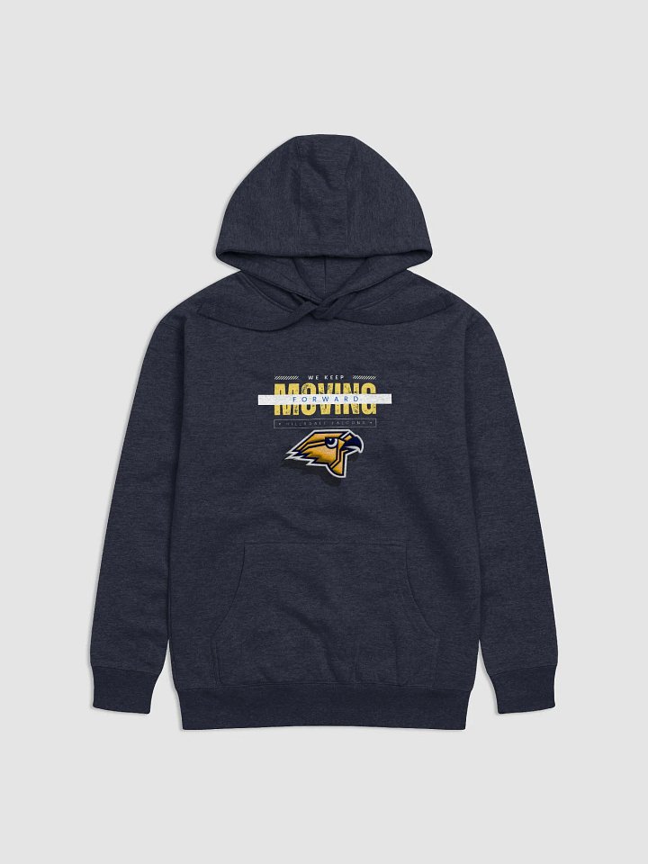 Hillsdale Falcons Hoodie product image (2)