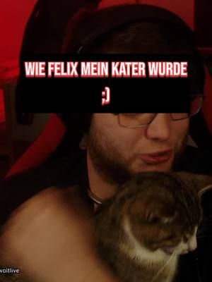 Schau dir an, wie dieser kleine Kater sich sofort in mein Herz geschlichen hat! 🐾❤️Und Nun schon 1 Jahr bei mir ;) Plus versprecher findest du den ?#Katze #Kätzchen #Tierliebe