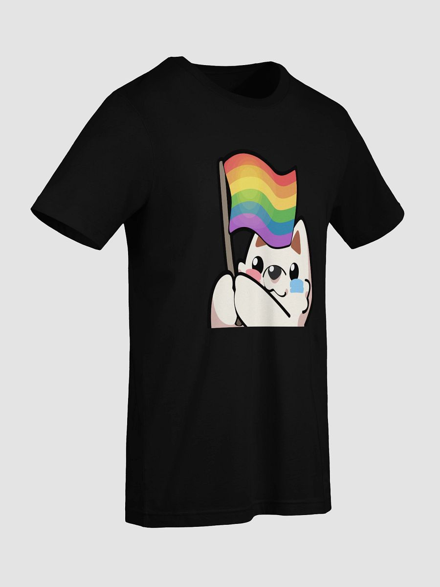 Rainbow Pride T-Shirt product image (96)