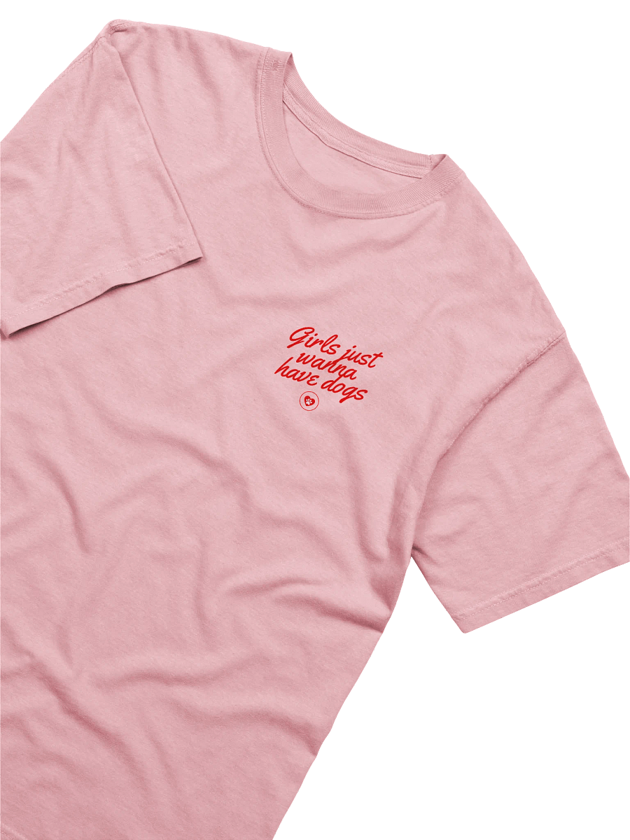 Pawsitively Chic Tee product image (3)