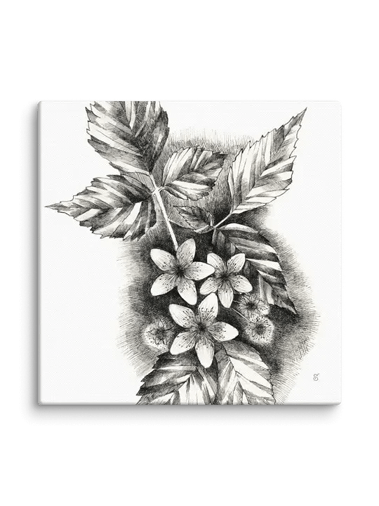 Blank Canvas Masterpieces - Jasmine product image (56)
