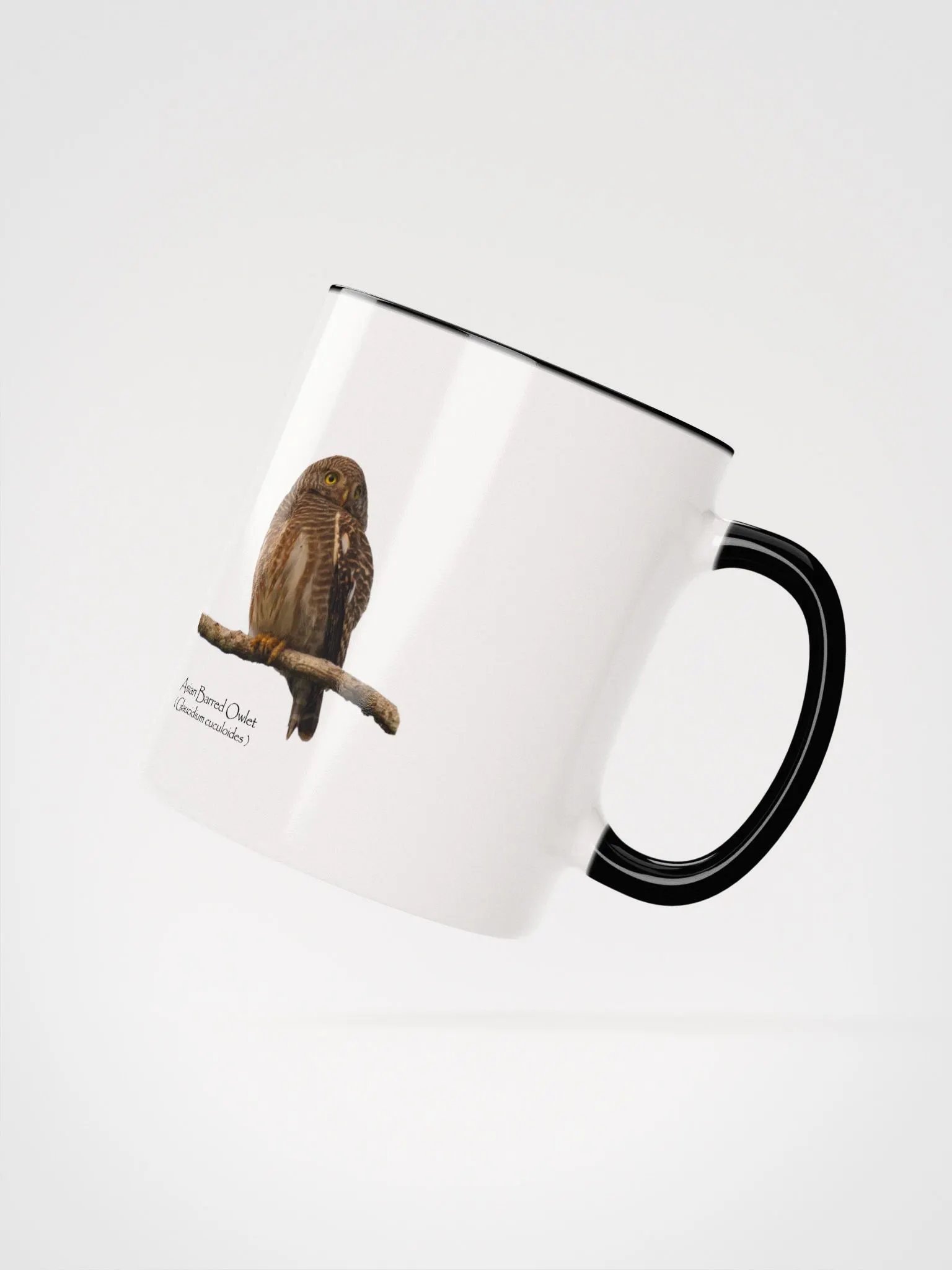 Asian Barred Owlet mug product image (19)