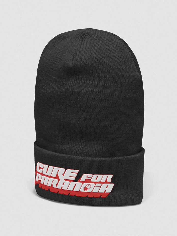 Logo Beanie product image (2)