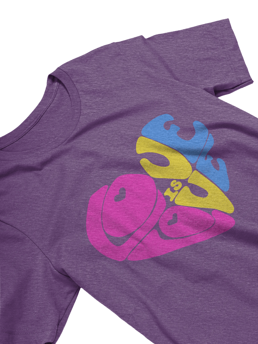 Pansexual Love is Love big print tee product image (3)