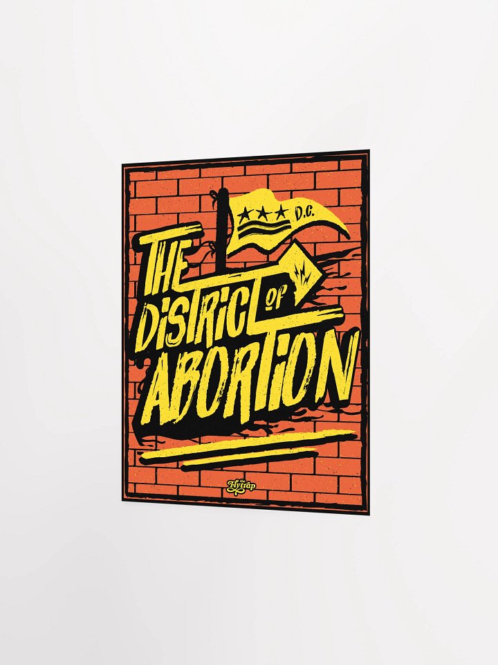 The District of Abortion 8x10 poster product image (2)