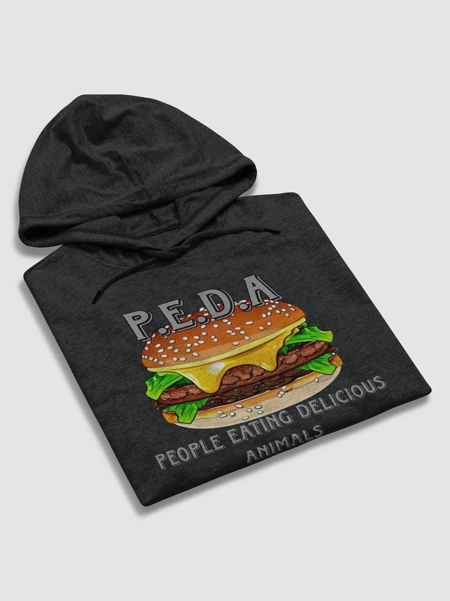 Solblaze Gaming P.E.D.A hoodie product image (9)