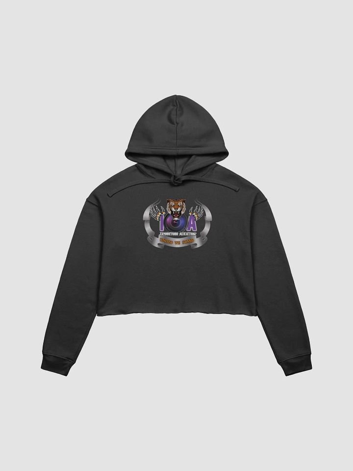 Ironton Auditor Bella+Canvas Fleece Crop Hoodie product image (1)
