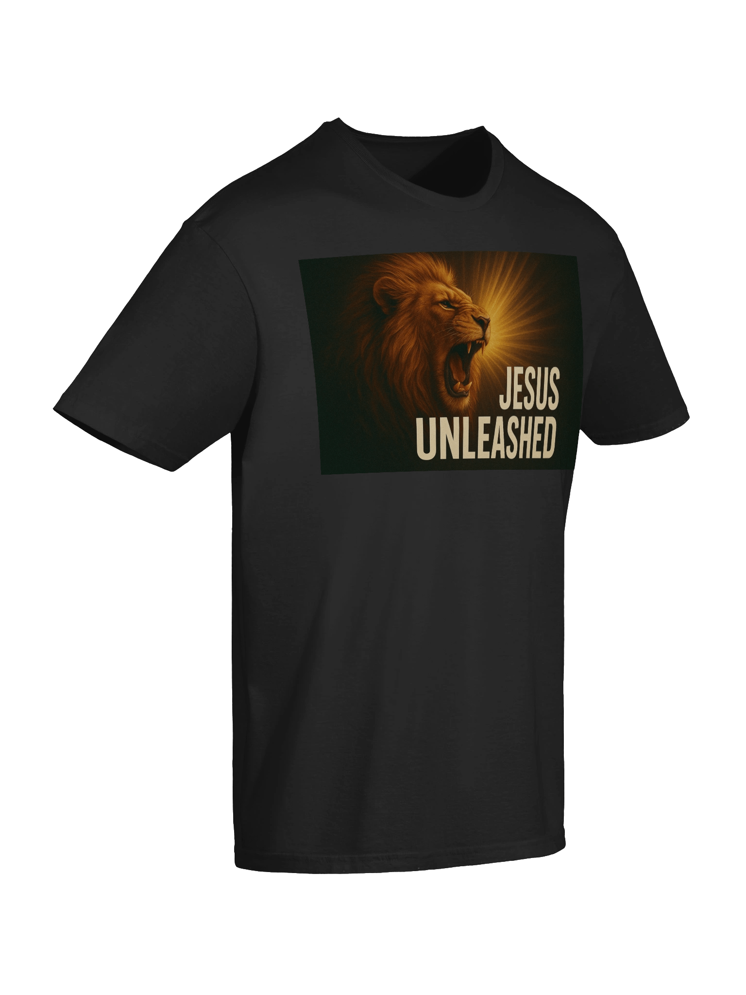 jesus unleashed product image (10)