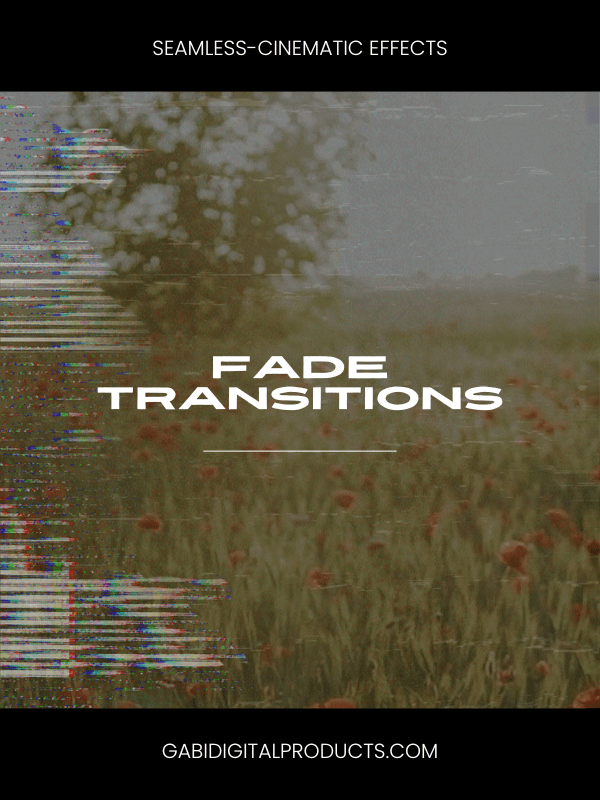 MRR/PLR Premiere SEAMLESS Transitions product image (5)