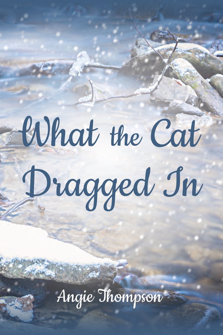 What the Cat Dragged In (Paperback, Mini-Book) product image (1)