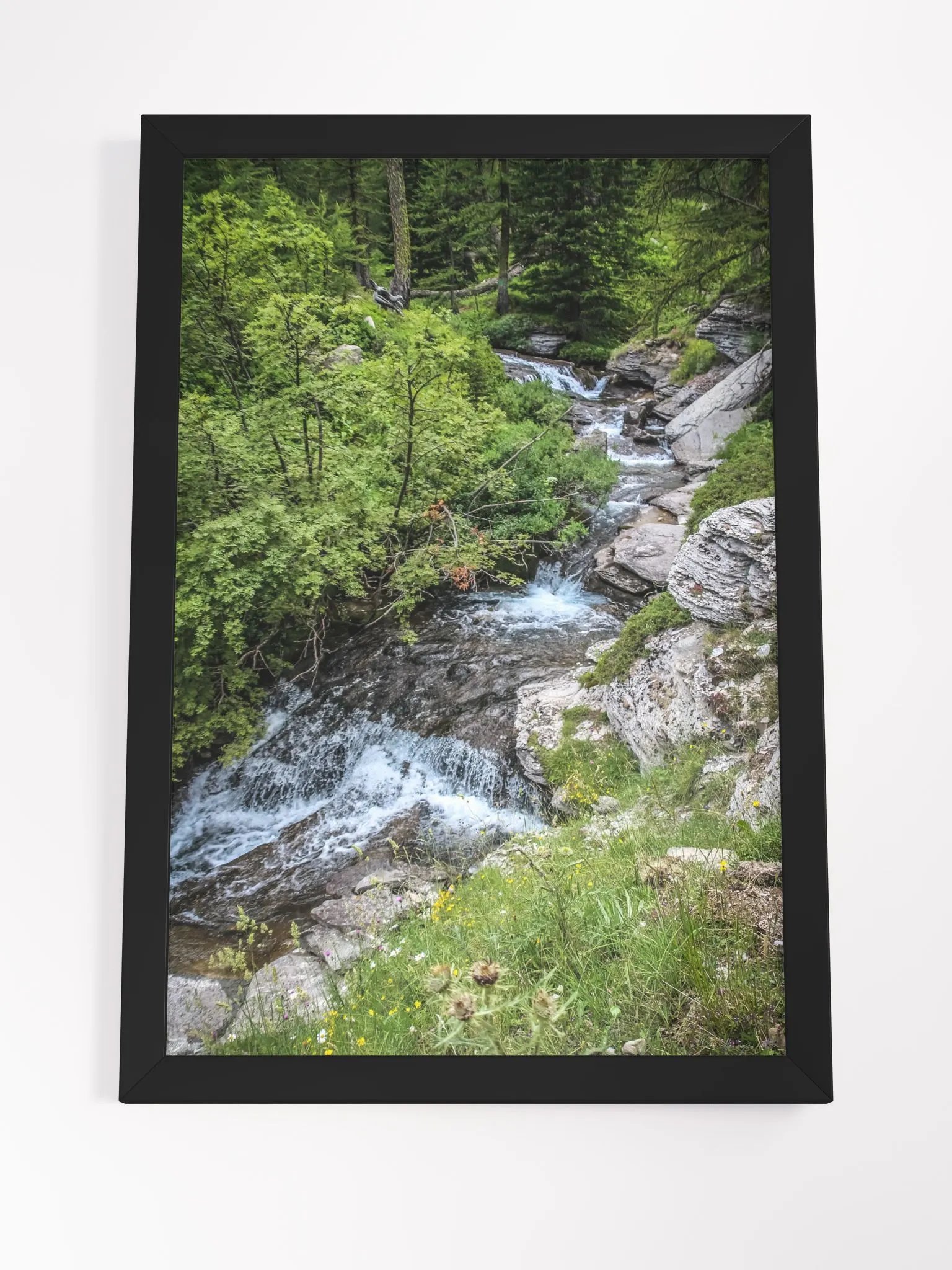 Print Fine Art - Alpine Serenity – Wild Mountain Stream product image (8)