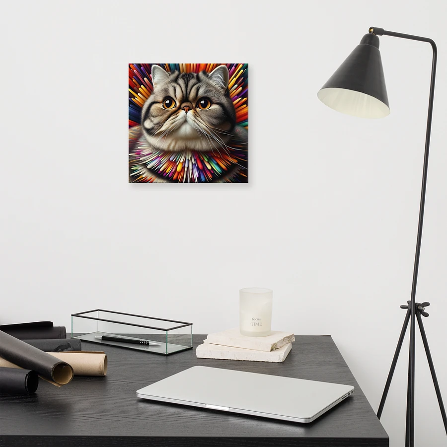 Canvas (in): Exotic Shorthair product image (11)