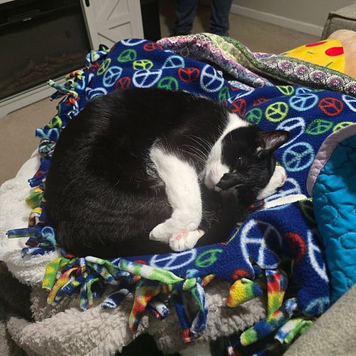 I present to you true royalty, Queen of Blanket Mountain.