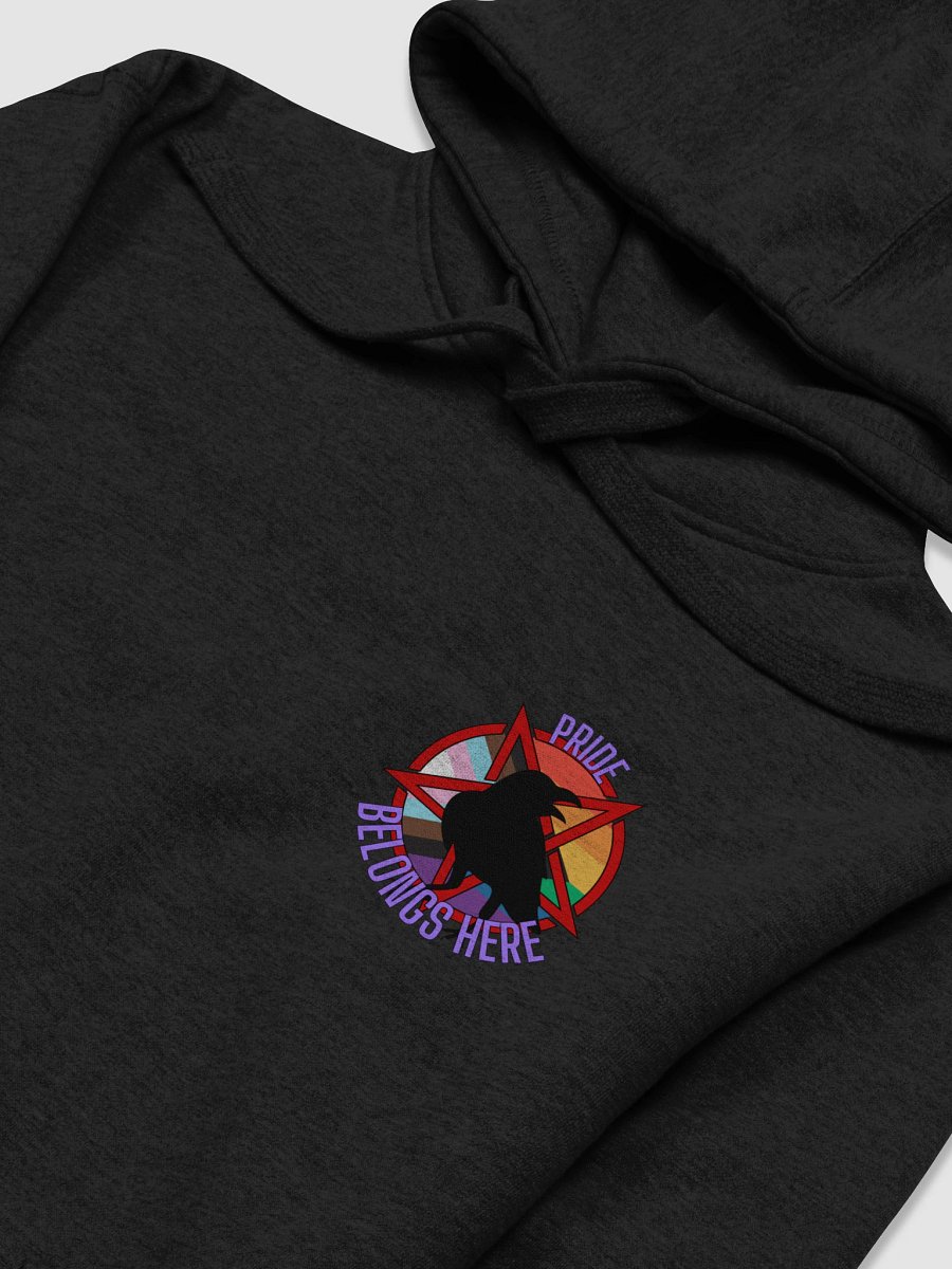 Pride Belongs Here Pullover product image (5)