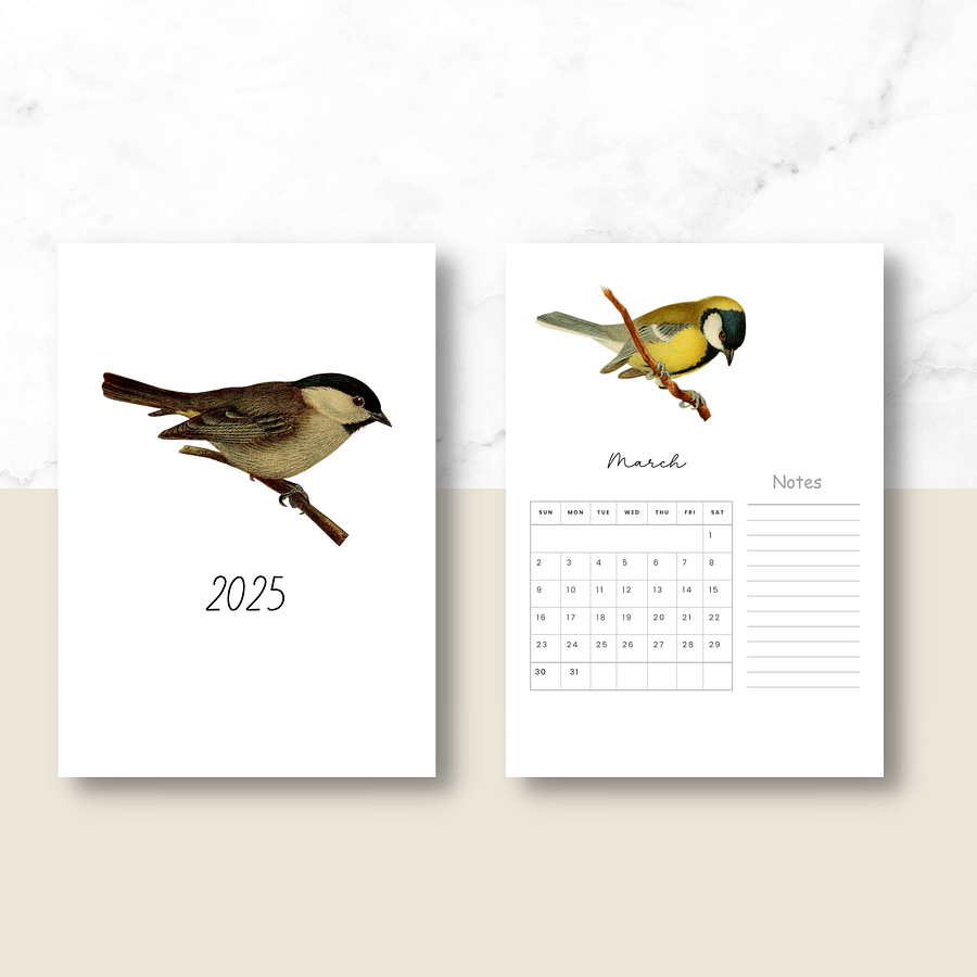 2025-2026 PDF Calendar: American Birds product image (3)