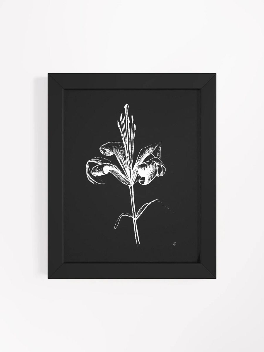 Lily Bloom Monochrome Framed Poster - Fine Flower Dark product image (21)