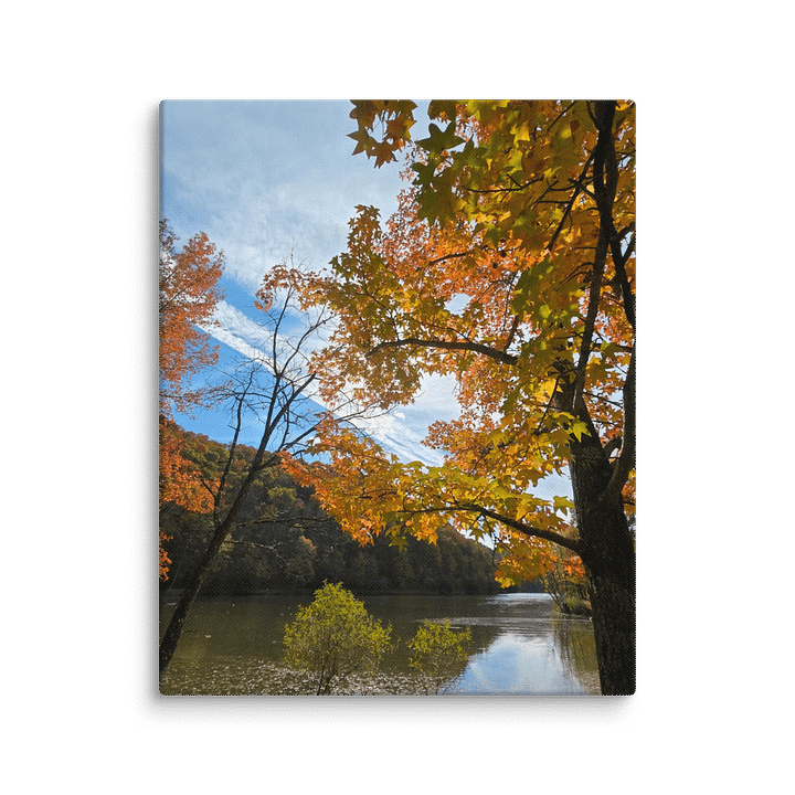 Peaceful Day Canvas product image (1)