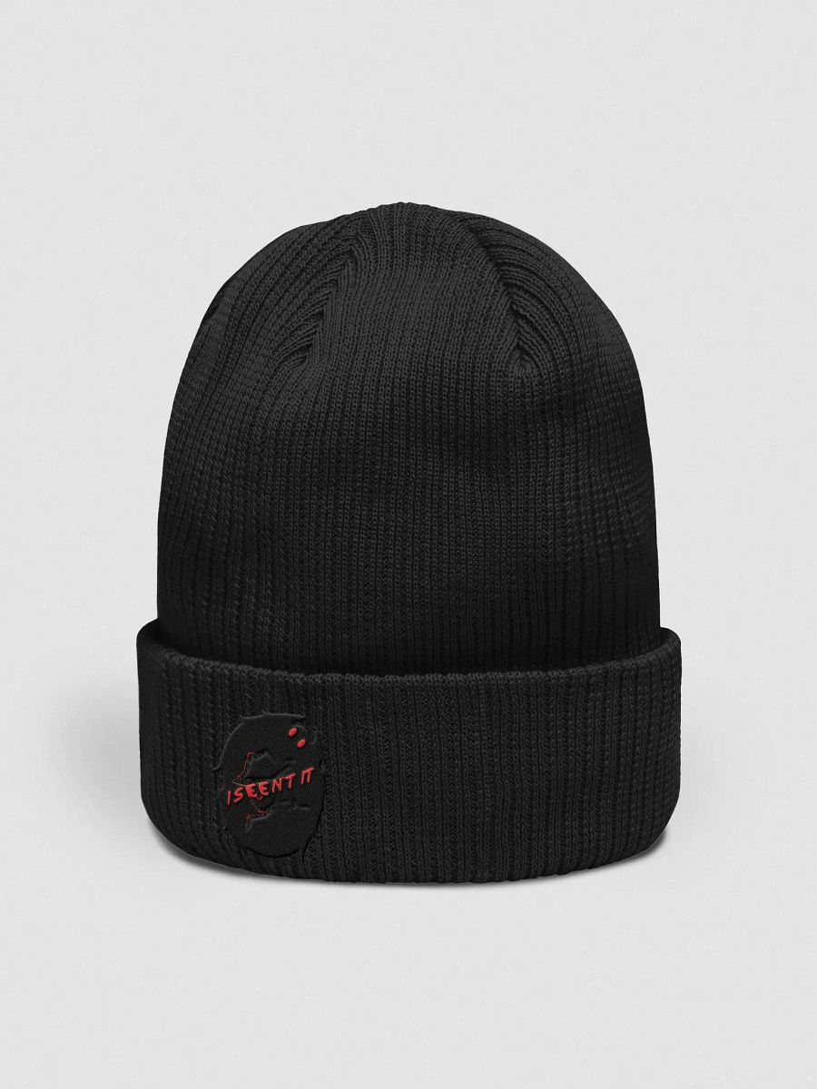 I Seen't It (Mothman) Beanie product image (12)