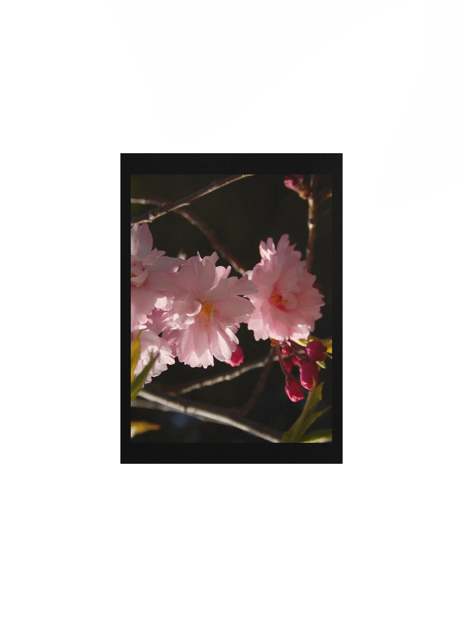 Pink Flowers product image (1)