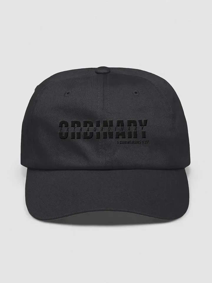 The Ordinary Hat product image (2)
