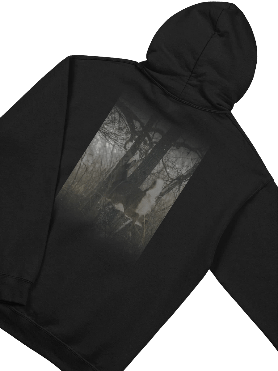 Elec Gateway Special Hoodie product image (4)