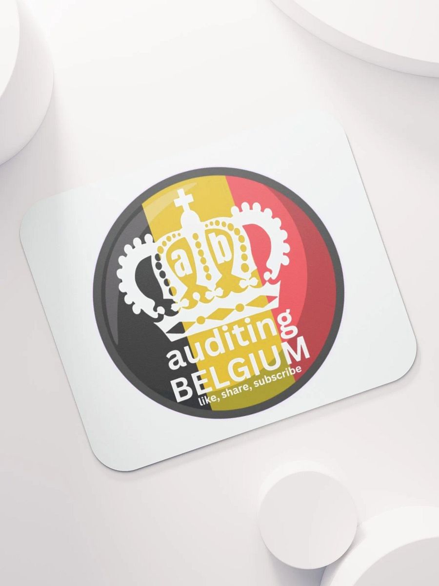 AUDITING BELGIUM product image (7)