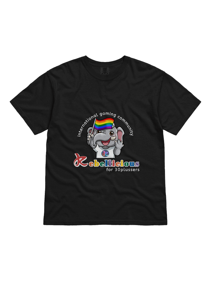 Comfort Colors Pride T-shirt product image (3)