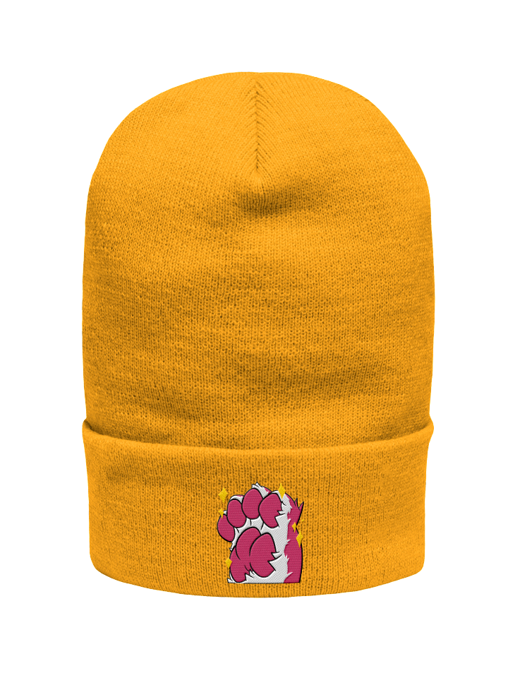 Steenky Beans Beanie product image (2)