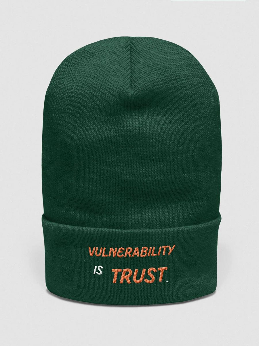 Vulnerability Skullee product image (3)