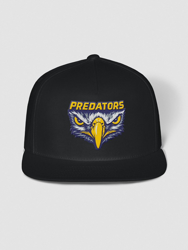Predators Snapback Hat product image (2)