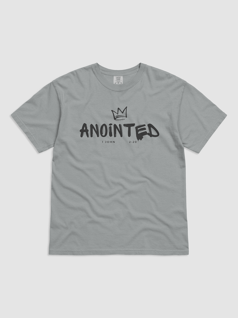 anointed t-shirt 🩶